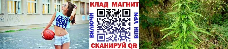 Сколько стоит Медвежьегорск Бошки Шишки  МДМА  ГАШИШ  АМФЕТАМИН 