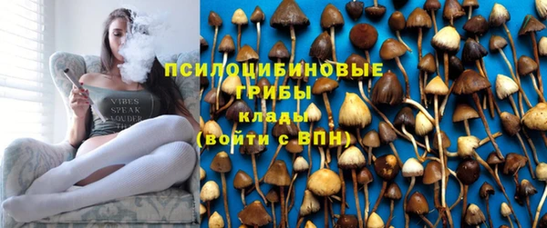 эйфоретик Касимов
