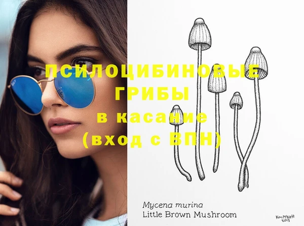 тгк Киреевск