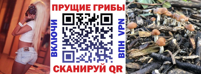 Псилоцибиновые грибы прущие грибы  Медвежьегорск 